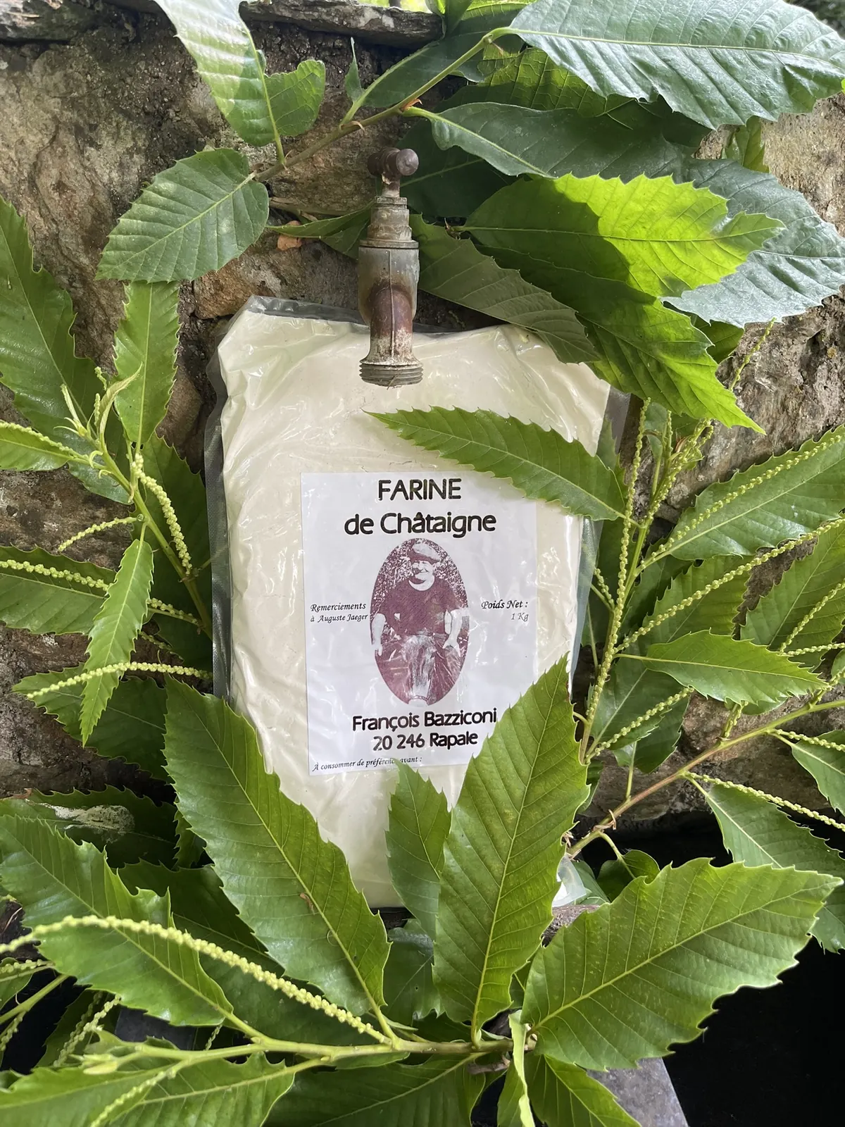 La farine de châtaigne de François Bazziconi